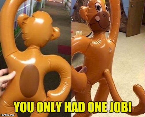You only had one job! | YOU ONLY HAD ONE JOB! | image tagged in you only had one job,funny blow up doll | made w/ Imgflip meme maker