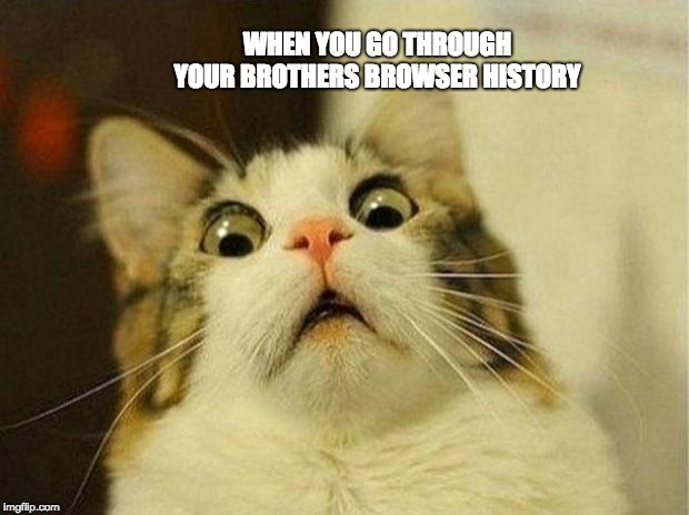 Scared Cat | WHEN YOU GO THROUGH YOUR BROTHERS BROWSER HISTORY | image tagged in memes,scared cat | made w/ Imgflip meme maker
