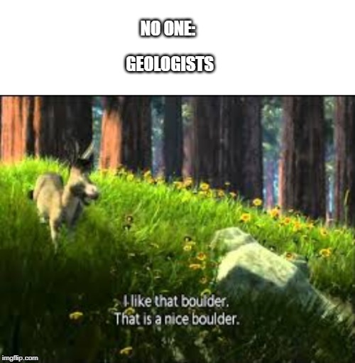 i like that bolder | GEOLOGISTS; NO ONE: | image tagged in shrek,i like that bolder,meme | made w/ Imgflip meme maker