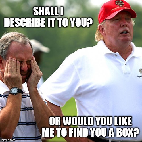 Nuff said | SHALL I DESCRIBE IT TO YOU? OR WOULD YOU LIKE ME TO FIND YOU A BOX? | image tagged in trump bloomberg | made w/ Imgflip meme maker