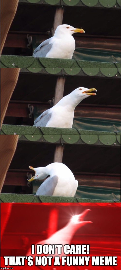 Inhaling Seagull Meme | I DON’T CARE! THAT’S NOT A FUNNY MEME | image tagged in memes,inhaling seagull | made w/ Imgflip meme maker
