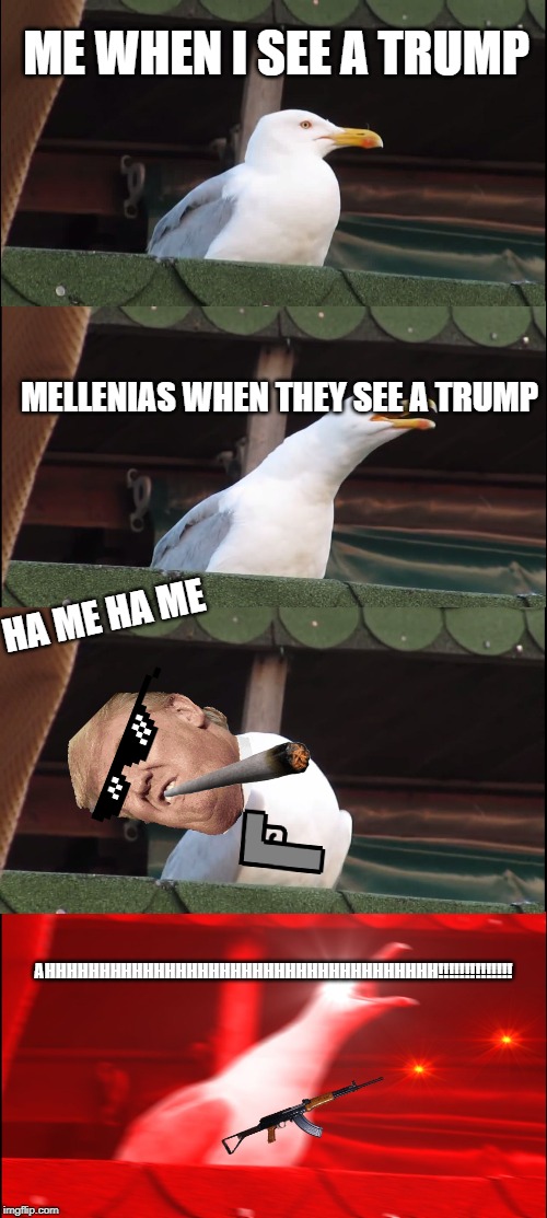 Inhaling Seagull | ME WHEN I SEE A TRUMP; MELLENIAS WHEN THEY SEE A TRUMP; HA ME HA ME; AHHHHHHHHHHHHHHHHHHHHHHHHHHHHHHHHHHHH!!!!!!!!!!!!!! | image tagged in memes,inhaling seagull | made w/ Imgflip meme maker