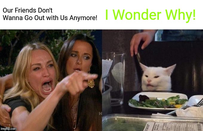 Woman Yelling At Cat Meme | Our Friends Don't Wanna Go Out with Us Anymore! I Wonder Why! | image tagged in memes,woman yelling at cat | made w/ Imgflip meme maker
