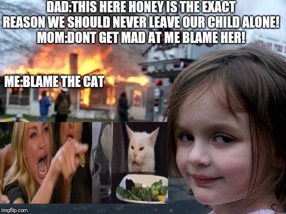 Disaster Girl Meme | DAD:THIS HERE HONEY IS THE EXACT REASON WE SHOULD NEVER LEAVE OUR CHILD ALONE!
MOM:DONT GET MAD AT ME BLAME HER! ME:BLAME THE CAT | image tagged in memes,disaster girl | made w/ Imgflip meme maker