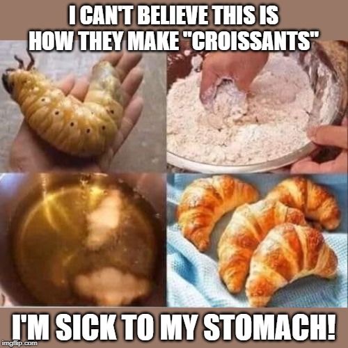 croissants | I CAN'T BELIEVE THIS IS HOW THEY MAKE "CROISSANTS"; I'M SICK TO MY STOMACH! | image tagged in bugs,pastry,gross | made w/ Imgflip meme maker