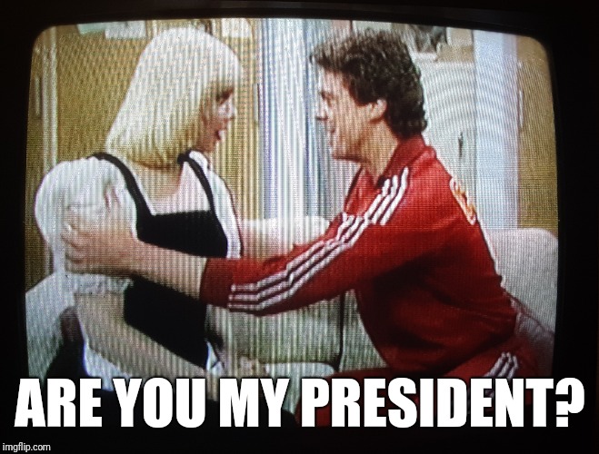 Are You My President? | ARE YOU MY PRESIDENT? | image tagged in shooter,trump russia collusion,its a trap | made w/ Imgflip meme maker