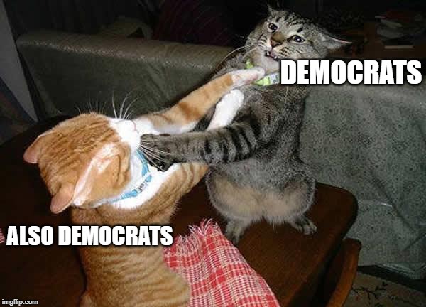 Nevada Debate In a Nutshell | DEMOCRATS; ALSO DEMOCRATS | image tagged in two cats fighting for real,democrats,democratic debate,bickering | made w/ Imgflip meme maker