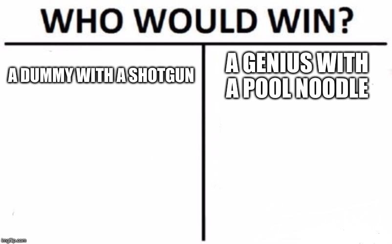 Who Would Win? | A DUMMY WITH A SHOTGUN; A GENIUS WITH A POOL NOODLE | image tagged in memes,who would win | made w/ Imgflip meme maker