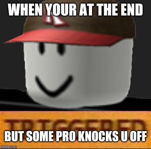 Roblox Triggered | WHEN YOUR AT THE END; BUT SOME PRO KNOCKS U OFF | image tagged in roblox triggered | made w/ Imgflip meme maker