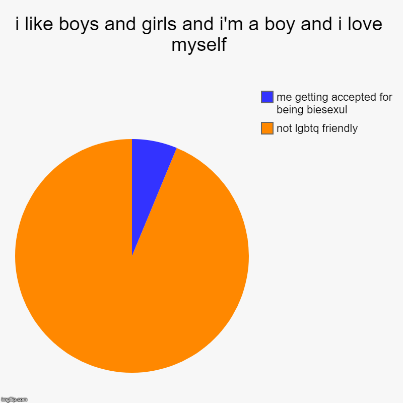 i like boys and girls and i'm a boy and i love myself | not lgbtq friendly, me getting accepted for being biesexul | image tagged in charts,pie charts | made w/ Imgflip chart maker