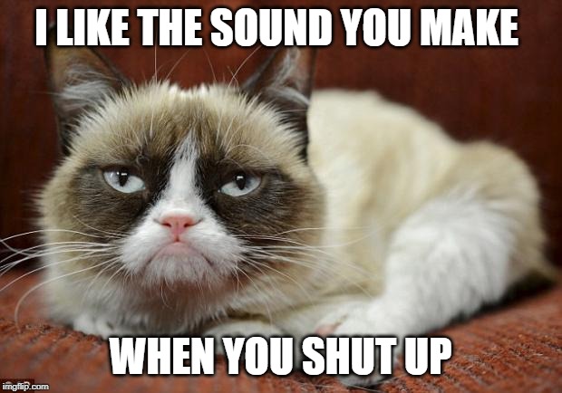 Grumpy Cat New Year | I LIKE THE SOUND YOU MAKE; WHEN YOU SHUT UP | image tagged in grumpy cat new year | made w/ Imgflip meme maker