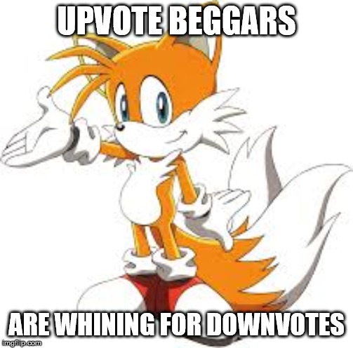 UPVOTE BEGGARS; ARE WHINING FOR DOWNVOTES | image tagged in tails | made w/ Imgflip meme maker