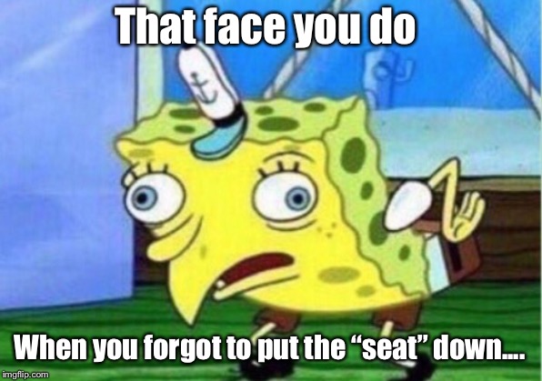 Mocking Spongebob | That face you do; When you forgot to put the “seat” down.... | image tagged in memes,mocking spongebob | made w/ Imgflip meme maker