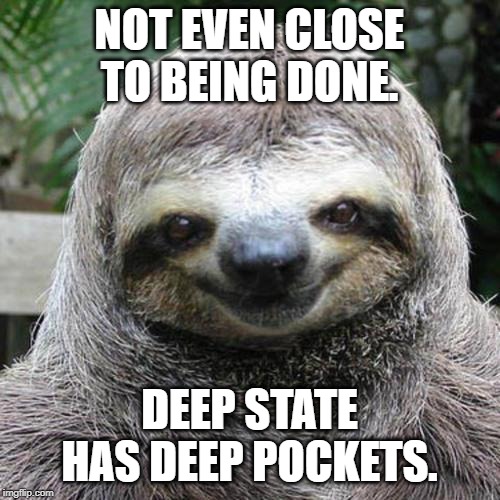 Rape Sloth  | NOT EVEN CLOSE TO BEING DONE. DEEP STATE HAS DEEP POCKETS. | image tagged in rape sloth | made w/ Imgflip meme maker