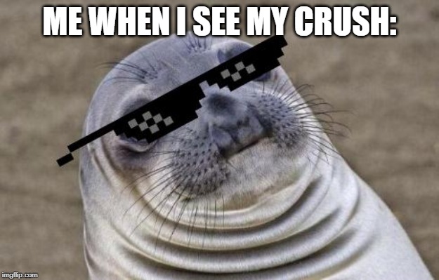 Seal swag | ME WHEN I SEE MY CRUSH: | image tagged in seal swag | made w/ Imgflip meme maker