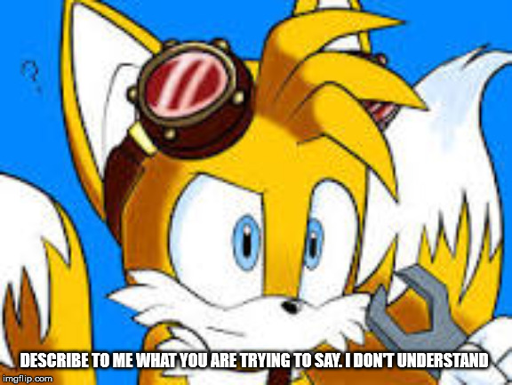 Tails is confused | DESCRIBE TO ME WHAT YOU ARE TRYING TO SAY. I DON'T UNDERSTAND | image tagged in tails is confused | made w/ Imgflip meme maker