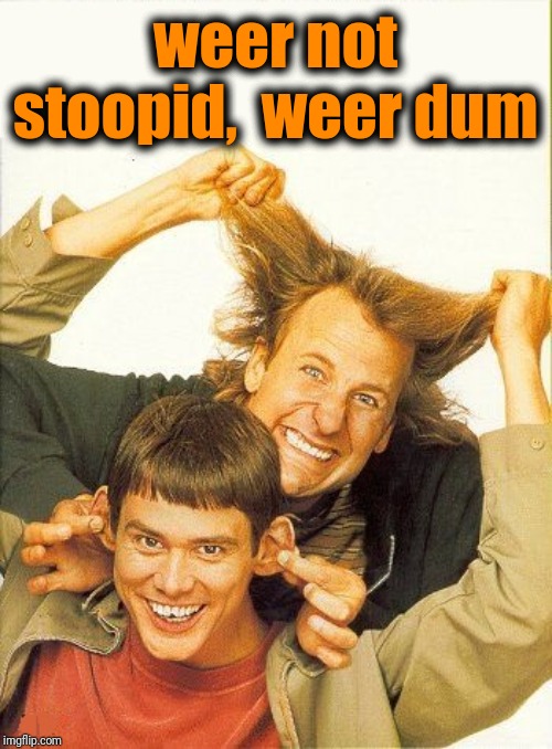 DUMB and dumber | weer not stoopid,  weer dum | image tagged in dumb and dumber | made w/ Imgflip meme maker