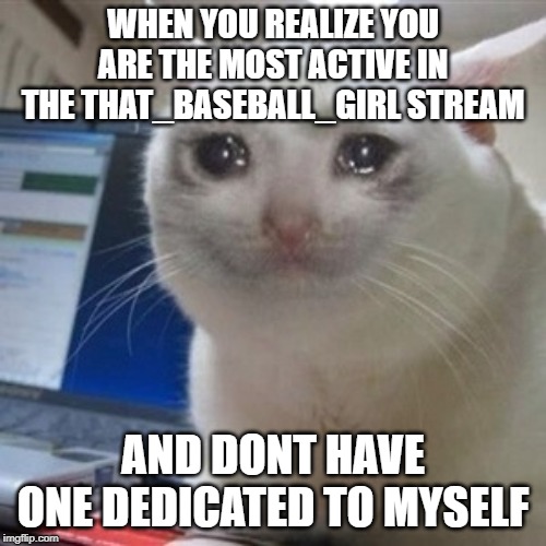 cryingcat | WHEN YOU REALIZE YOU ARE THE MOST ACTIVE IN THE THAT_BASEBALL_GIRL STREAM; AND DONT HAVE ONE DEDICATED TO MYSELF | image tagged in cryingcat | made w/ Imgflip meme maker