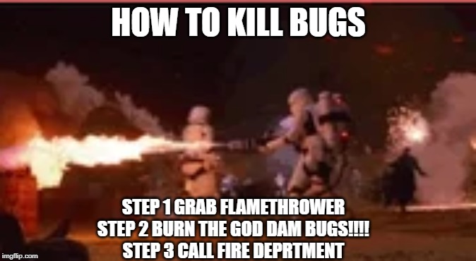 How to kill bugs | HOW TO KILL BUGS; STEP 1 GRAB FLAMETHROWER
STEP 2 BURN THE GOD DAM BUGS!!!!
STEP 3 CALL FIRE DEPRTMENT | image tagged in fire,bugs | made w/ Imgflip meme maker