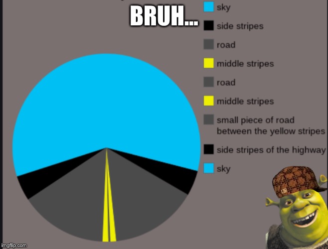 What I see while driving | BRUH... | image tagged in bruh,shrek,pie charts,driving | made w/ Imgflip meme maker