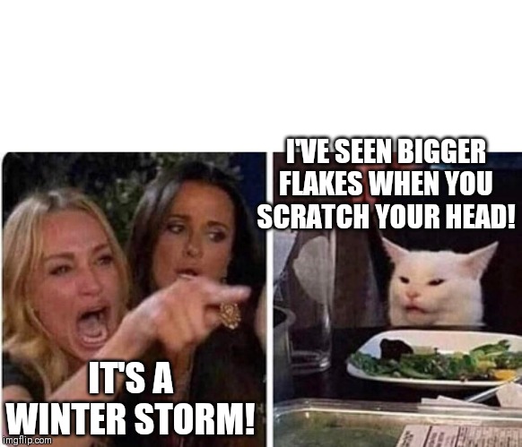 Let it snow! | I'VE SEEN BIGGER FLAKES WHEN YOU SCRATCH YOUR HEAD! IT'S A WINTER STORM! | image tagged in lady screams at cat,snow,snowstorm,memes,funny memes | made w/ Imgflip meme maker