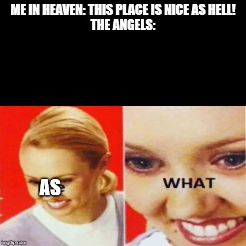 The What | ME IN HEAVEN: THIS PLACE IS NICE AS HELL!
THE ANGELS:; AS | image tagged in the what | made w/ Imgflip meme maker