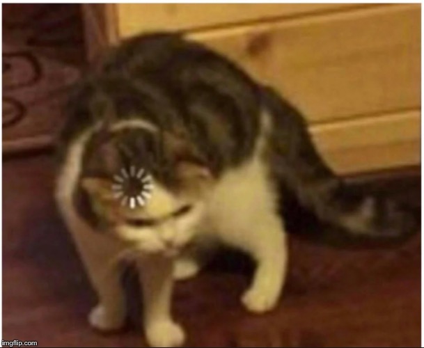 Confused loading cat | image tagged in confused loading cat | made w/ Imgflip meme maker