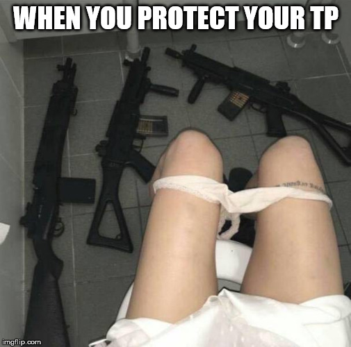 WHEN YOU PROTECT YOUR TP | made w/ Imgflip meme maker