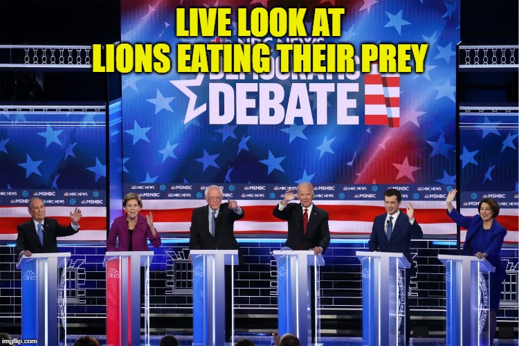 That Night in Nevada | LIVE LOOK AT LIONS EATING THEIR PREY | image tagged in democrats | made w/ Imgflip meme maker