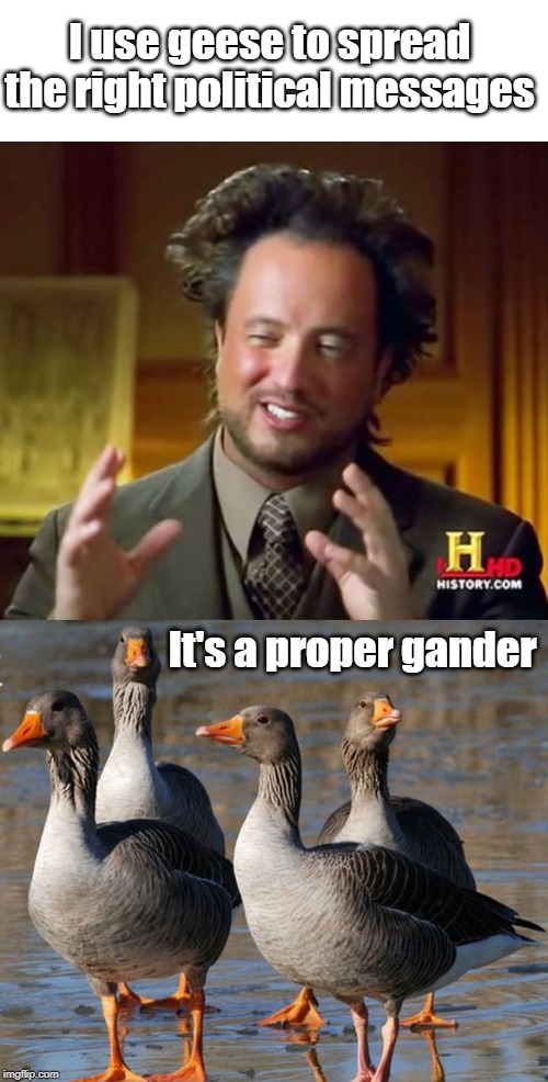 I use geese to spread the right political messages; It's a proper gander | image tagged in memes,ancient aliens | made w/ Imgflip meme maker