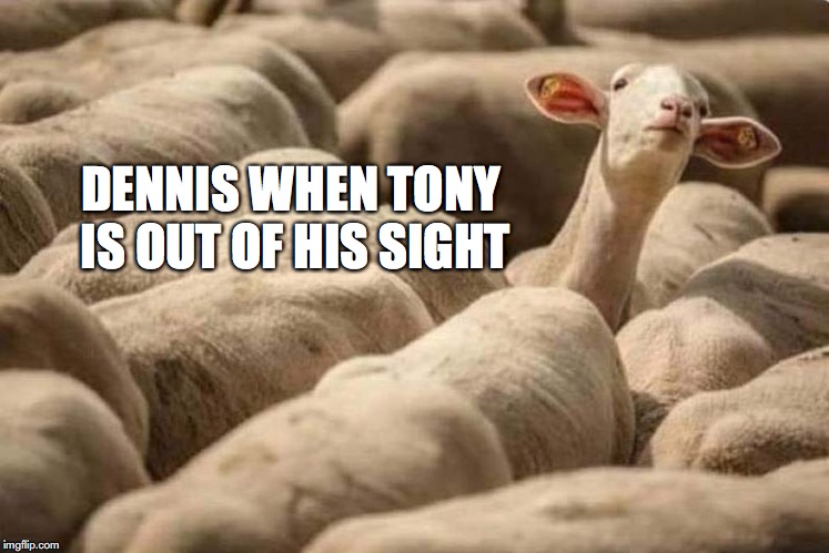 Dennis 60 Days In | DENNIS WHEN TONY 
IS OUT OF HIS SIGHT | image tagged in aetv,dennis 60 days in,tony 60 days in,60 days in,dennis tony 60 days in | made w/ Imgflip meme maker