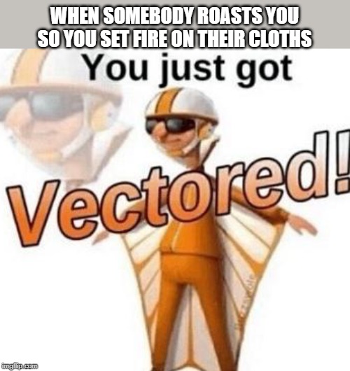 You just got vectored | WHEN SOMEBODY ROASTS YOU SO YOU SET FIRE ON THEIR CLOTHS | image tagged in you just got vectored | made w/ Imgflip meme maker