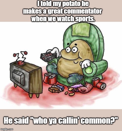 Great commentator | I told my potato he makes a great commentator 
when we watch sports. He said "who ya callin' common?" | image tagged in sports | made w/ Imgflip meme maker