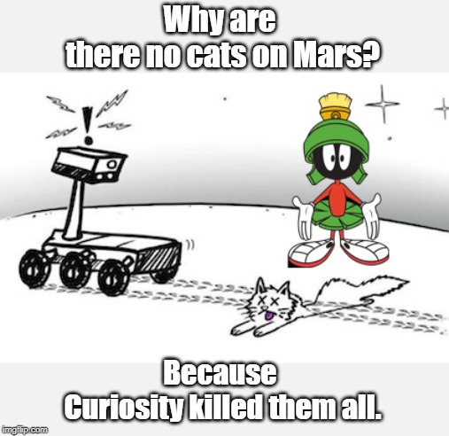 Curiosity killed | Why are 
there no cats on Mars? Because 
Curiosity killed them all. | image tagged in cats | made w/ Imgflip meme maker