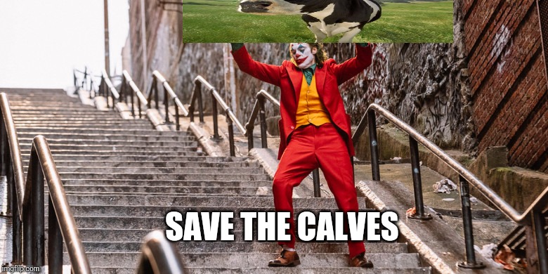 Joker Dance | SAVE THE CALVES | image tagged in joker dance | made w/ Imgflip meme maker