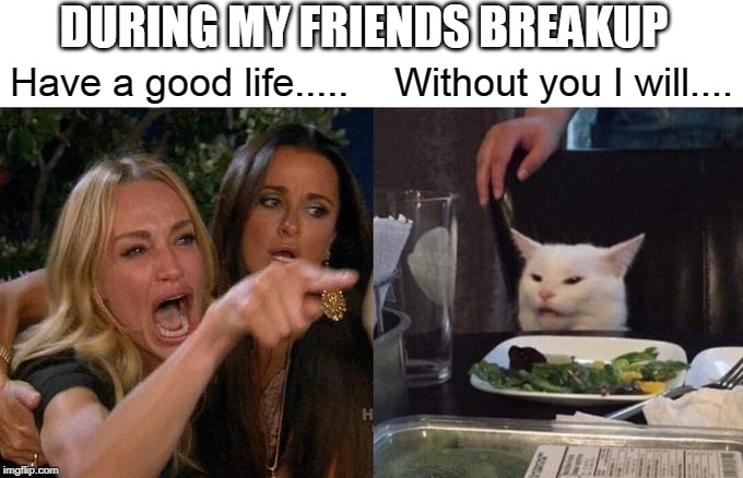 Woman Yelling At Cat | DURING MY FRIENDS BREAKUP; Have a good life..... Without you I will.... | image tagged in memes,woman yelling at cat | made w/ Imgflip meme maker