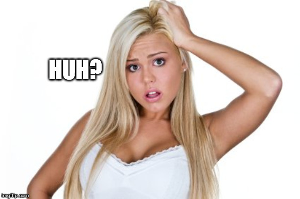 Dumb Blonde | HUH? | image tagged in dumb blonde | made w/ Imgflip meme maker