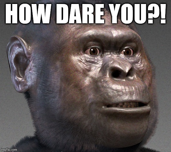 Afarensis | HOW DARE YOU?! | image tagged in afarensis | made w/ Imgflip meme maker
