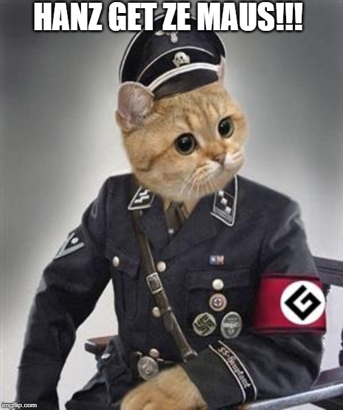 Grammar Nazi Cat | HANZ GET ZE MAUS!!! | image tagged in grammar nazi cat | made w/ Imgflip meme maker