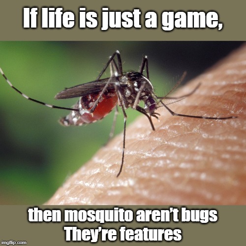 If life is just a game | If life is just a game, then mosquito aren’t bugs
They’re features | image tagged in games | made w/ Imgflip meme maker