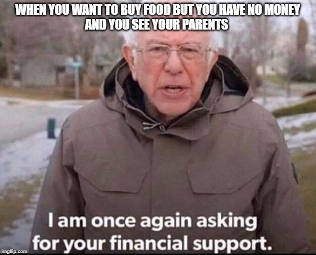 I am once again asking for your financial support | WHEN YOU WANT TO BUY FOOD BUT YOU HAVE NO MONEY
AND YOU SEE YOUR PARENTS | image tagged in i am once again asking for your financial support | made w/ Imgflip meme maker