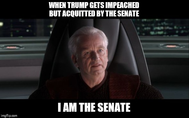 I am the Senate | WHEN TRUMP GETS IMPEACHED BUT ACQUITTED BY THE SENATE; I AM THE SENATE | image tagged in i am the senate | made w/ Imgflip meme maker
