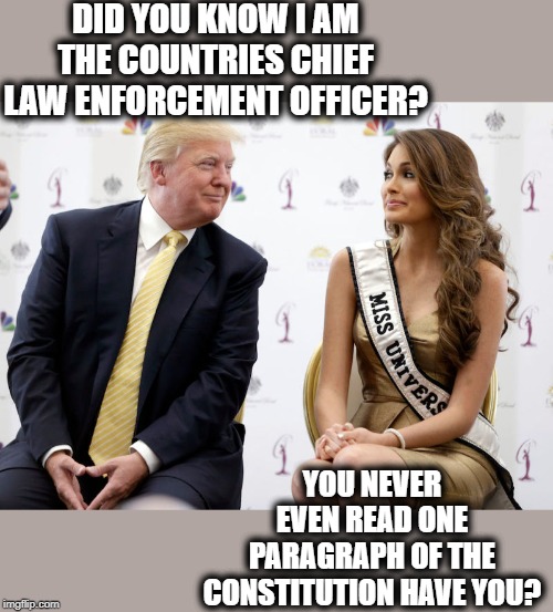 Chief Scumbag maybe. | DID YOU KNOW I AM THE COUNTRIES CHIEF LAW ENFORCEMENT OFFICER? YOU NEVER EVEN READ ONE PARAGRAPH OF THE CONSTITUTION HAVE YOU? | image tagged in memes,impeach trump,corruption,insane,idiot,politics | made w/ Imgflip meme maker