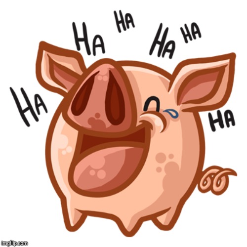 Laughing Pig | image tagged in laughing pig | made w/ Imgflip meme maker