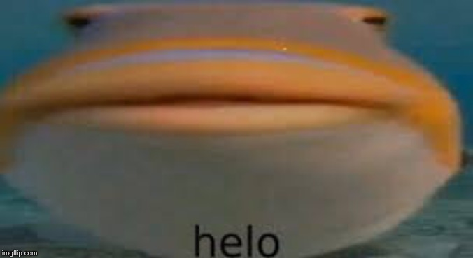 High Quality helo fish Blank Meme Template