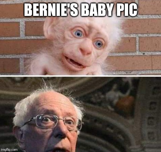 Bernie Sanders baby pic | BERNIE'S BABY PIC | image tagged in bernie sanders | made w/ Imgflip meme maker