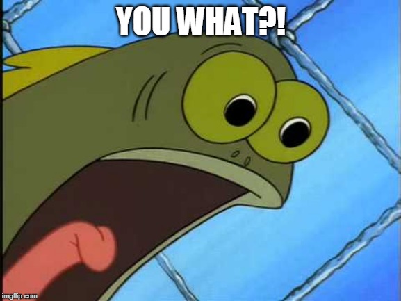 You did what to my drink spongebob | YOU WHAT?! | image tagged in you did what to my drink spongebob | made w/ Imgflip meme maker