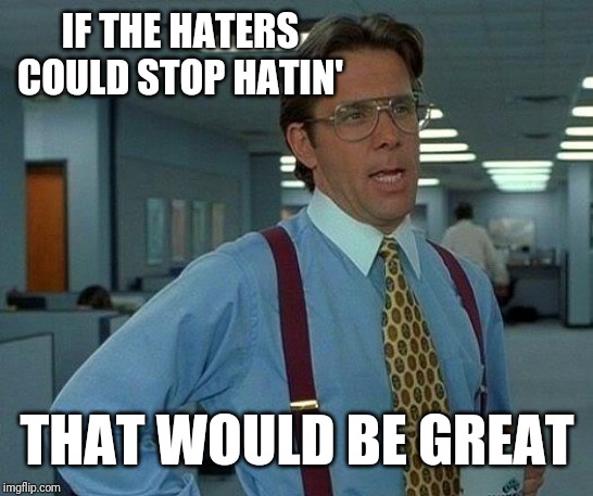 That Would Be Great | IF THE HATERS COULD STOP HATIN'; THAT WOULD BE GREAT | image tagged in memes,that would be great | made w/ Imgflip meme maker