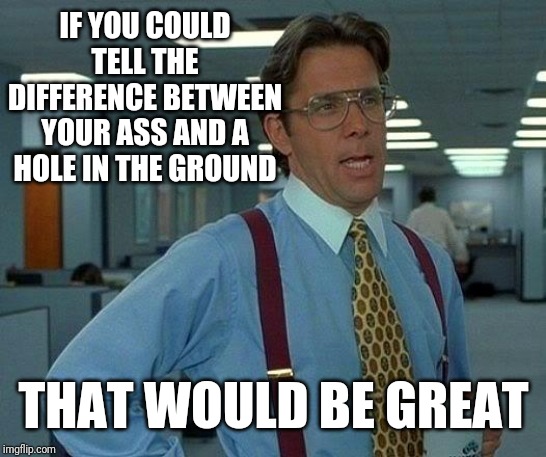 That Would Be Great Meme | IF YOU COULD TELL THE DIFFERENCE BETWEEN YOUR ASS AND A HOLE IN THE GROUND; THAT WOULD BE GREAT | image tagged in memes,that would be great | made w/ Imgflip meme maker