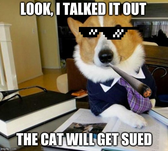 Lawyer Corgi Dog | LOOK, I TALKED IT OUT; THE CAT WILL GET SUED | image tagged in lawyer corgi dog | made w/ Imgflip meme maker